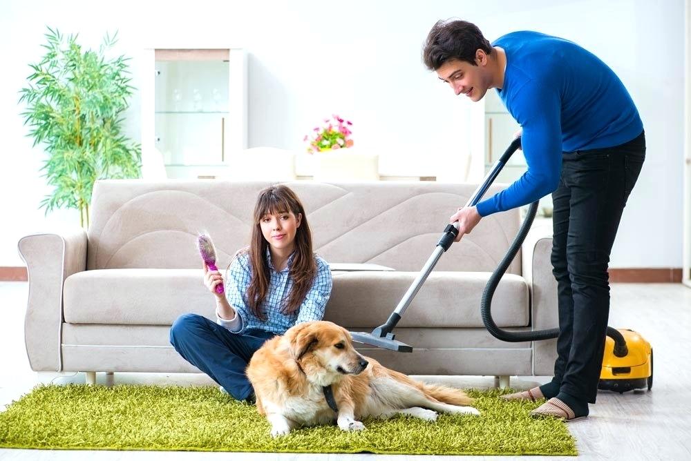 Things to Take Care Before Buying Pet Hair Vacuum Cleaner