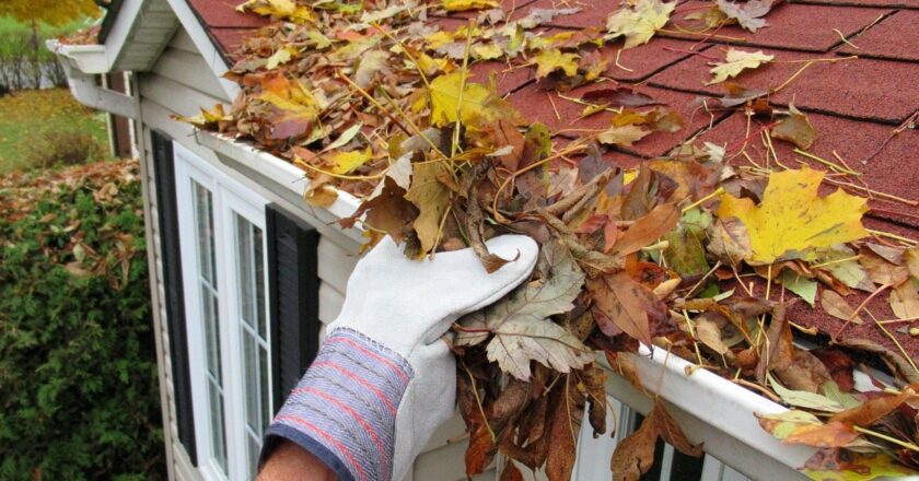Top tips for cleaning your gutters