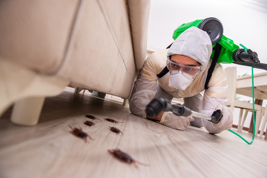 How To Find The Best Pest Control Company In London |