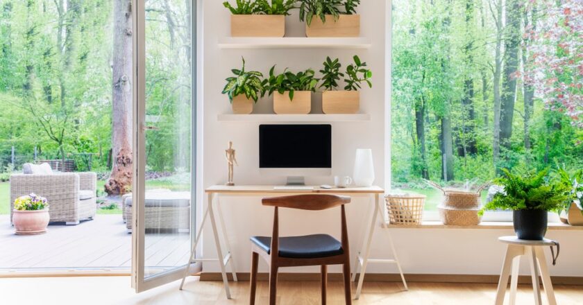 Mistakes Wehn Decorating Your Pollen Collection Nim Road Home