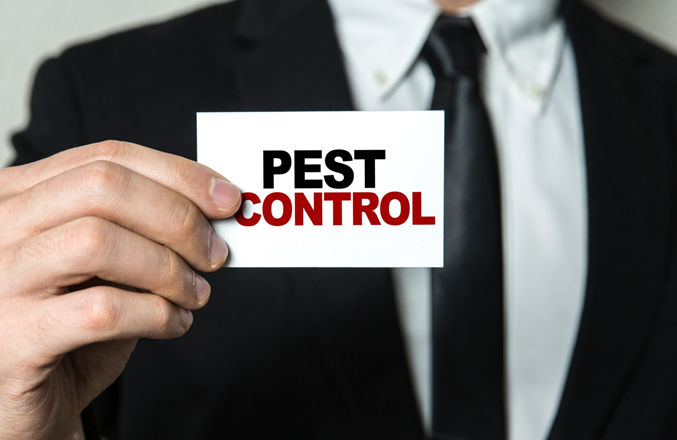 Turlock Pest Control Best Practices