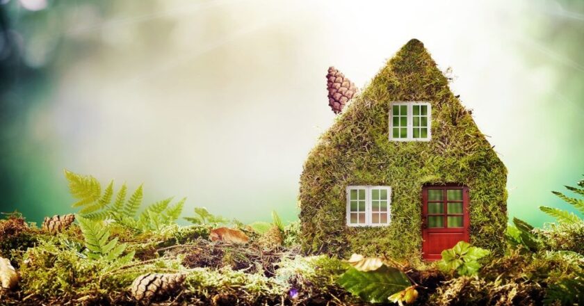 Benefits of Switching to Eco-Friendly Homes
