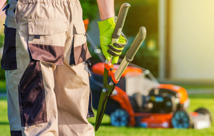 How to Hire Residential Landscaping Services: What You Need to Know