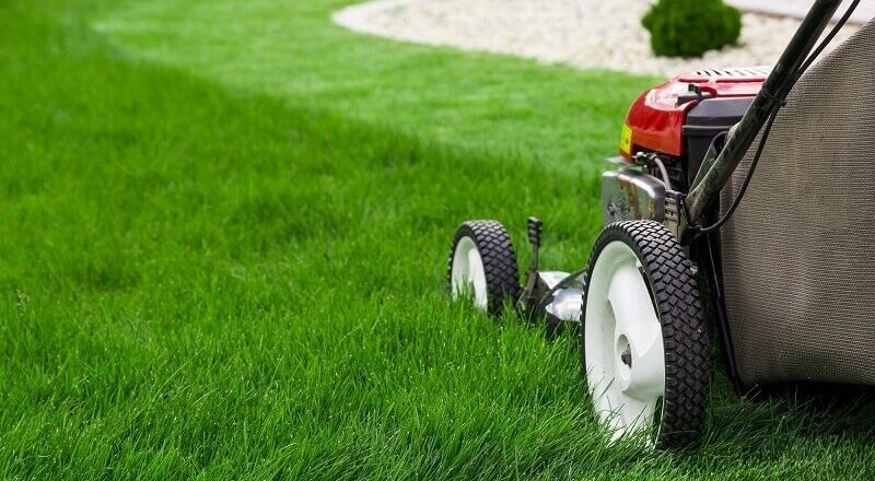 Things to Look for Before Choosing a Lawn Mowing Service