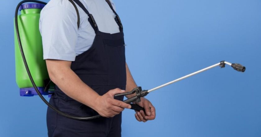 7 advantages of professional pest control in Boise 