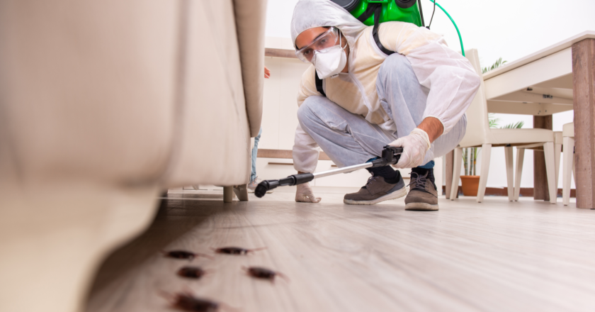 Benefits Of Hiring A Rat Exterminator Service