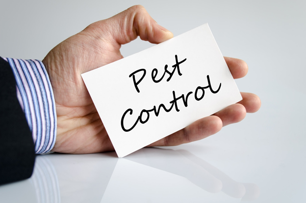 How Do I Choose the Best Pest Control Company in My Local Area?