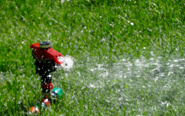 The Importance of Watering Your Lawn Properly