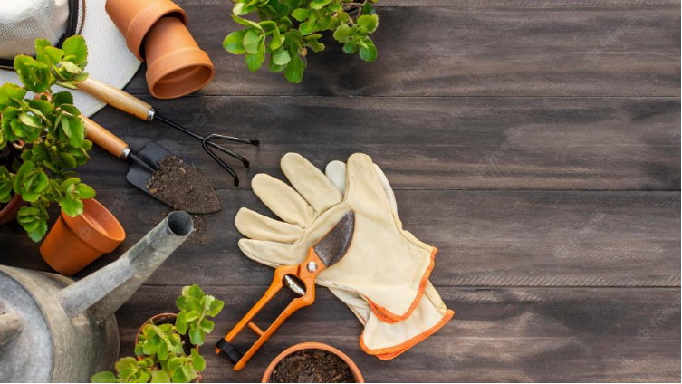10 Garden Tools Every Gardener Should Have