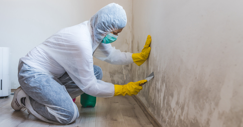 Mold Testing Miami: What Procedures are followed for Mold Testing?