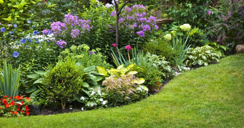 An Examination of the Ways in Which Expert Landscaping Design Services Can Assist You in Changing Your Property