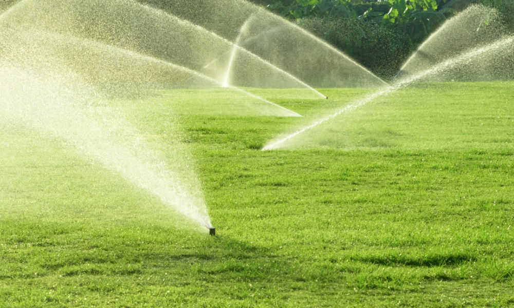 Upgrade Your Irrigation