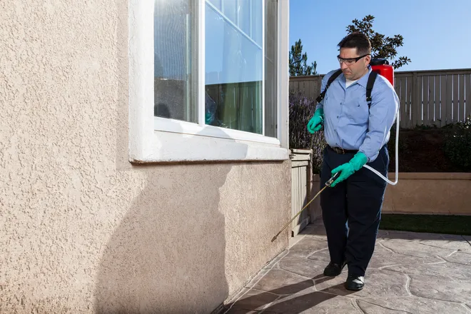 Pest-Proofing Outdoor Spaces in Altamonte Springs