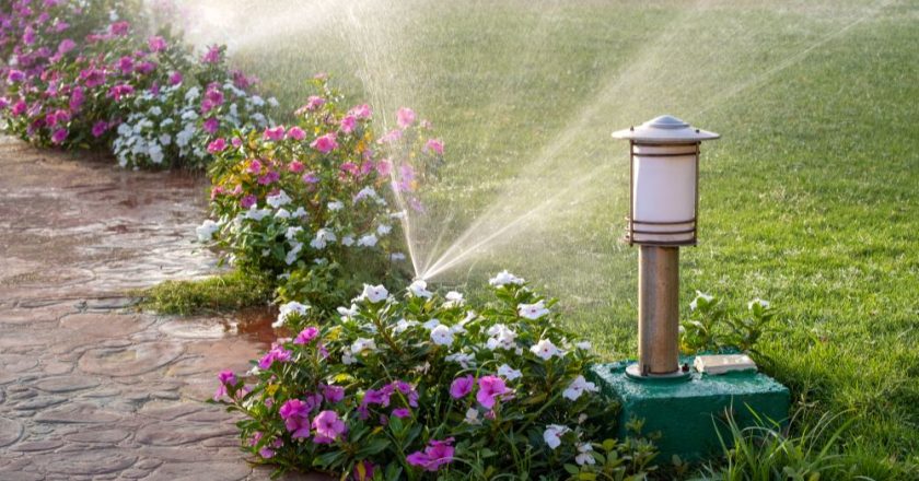 New Sprinkler Businesses Grow Strong with Smart Planning and Steady Focus 