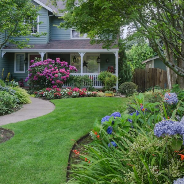 Lush Front Yard Landscaping Ideas to Boost Curb Appeal