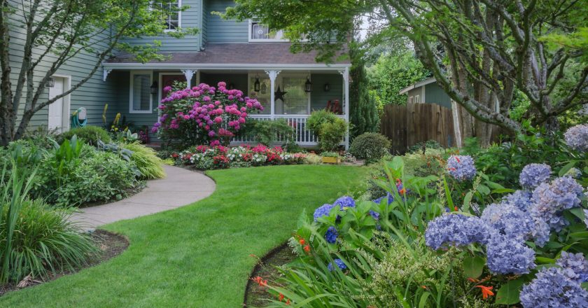 Lush Front Yard Landscaping Ideas to Boost Curb Appeal